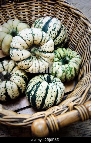 Large basket of decorative gourds - Stock Photo