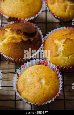 Muffin made to Portuguese Bollo de Arroz recipe, made with rice flour and gluten free flour - Stock Photo
