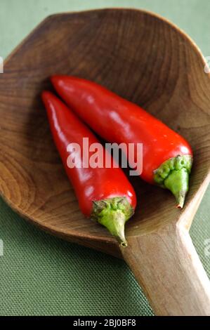 Shiny red chilli peppers in big wooden spoon - Stock Photo