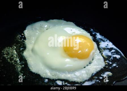 Fresh free range organic eggs being fried in black non-stick pan - sunny side up - Stock Photo
