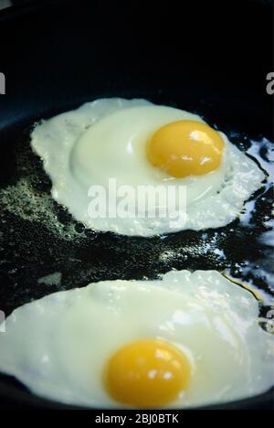 Organic free-range fried egg in single egg frying pan Stock Photo - Alamy