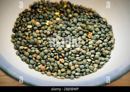 Small blue-green puy lentil in blue rimmed bowl - Stock Photo