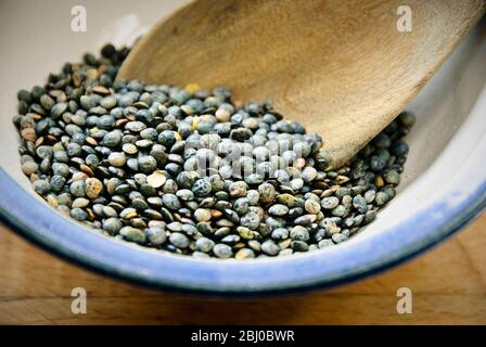 Small blue-green puy lentil in blue rimmed bowl - Stock Photo