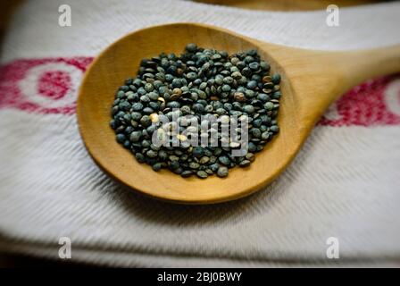 Small blue-green puy lentil on wooden spoon - Stock Photo