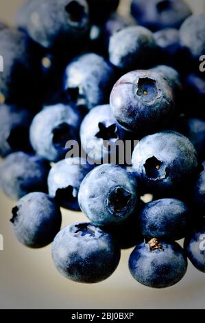 Close up of blueberries - Stock Photo
