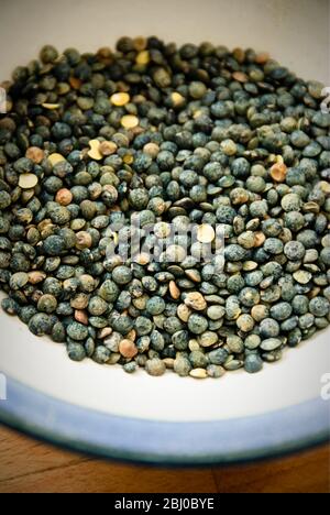 Small blue-green puy lentil in blue rimmed bowl - Stock Photo