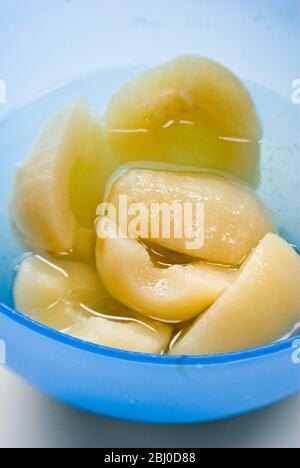 Canned Bartlett pears opened and turned into a blue bowl - Stock Photo