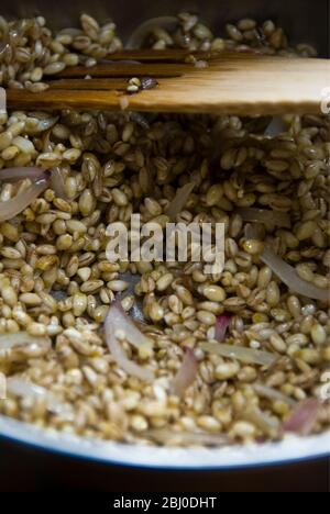 Cooking barley grains with sliced onions in olive oil, starting to make barley risotto - Stock Photo