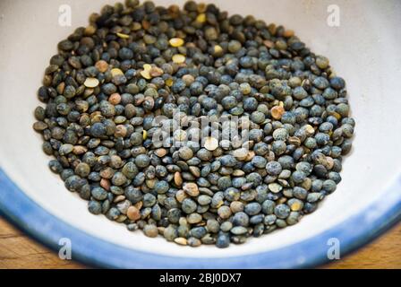 Small blue-green puy lentil in blue rimmed bowl - Stock Photo