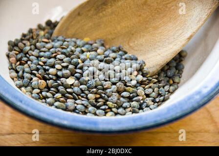 Small blue-green puy lentil in blue rimmed bowl - Stock Photo