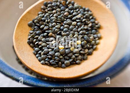 Small blue-green puy lentil on wooden spoon - Stock Photo