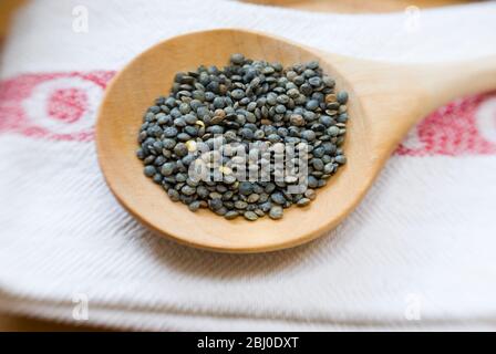 Small blue-green puy lentil on wooden spoon - Stock Photo