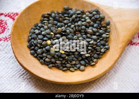 Small blue-green puy lentil on wooden spoon - Stock Photo