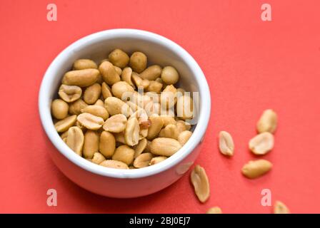 Small white bowl of salted, roasted peanuts on bright red background - Stock Photo