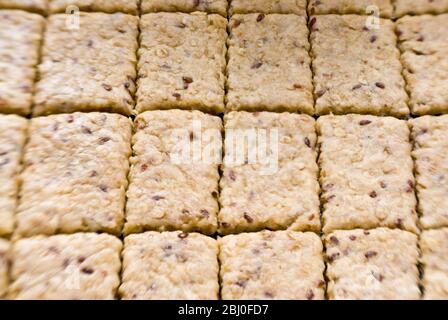 Cookie dough rolled out on baking sheet cut with pastry cutter, before going into oven - Stock Photo