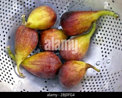 Figs draining in old aluminium colander - Stock Photo