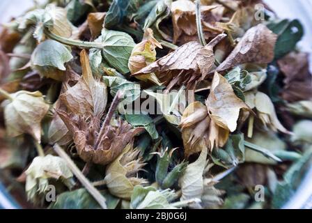 Dried linden flowers for herbal tea or tisane - Stock Photo