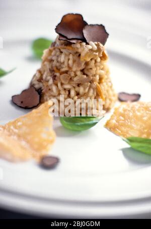 Mushroom risotto served as a pyramid with basil leaves and shavings of parmesan and black truffles on white plate - Stock Photo