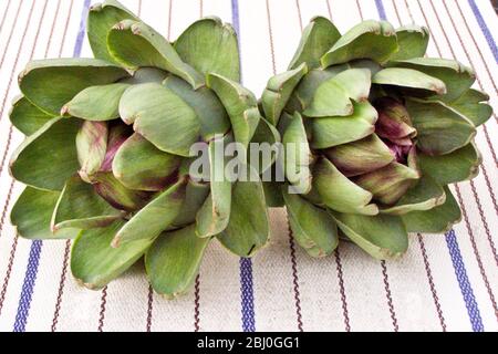 Freshly picked globe artichokes, - Stock Photo