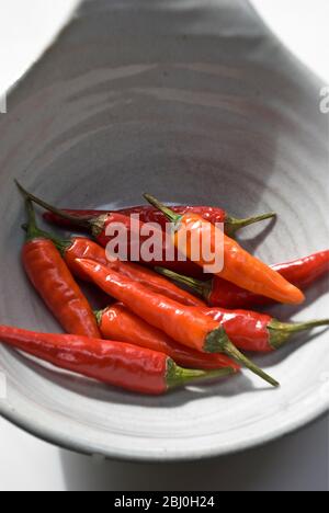 Small hot bird's eye chilli peppers arranged on white surface. - Stock Photo