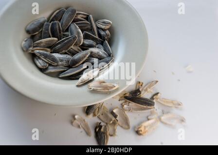 Toasted and salted sunflower seeds as a snack and to have with drinks - Stock Photo
