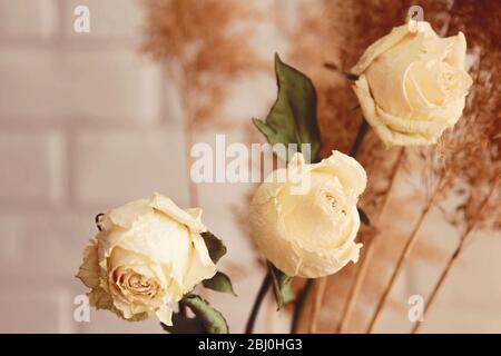Dry beige roses and reeds bouquet on cream background Stock Photo