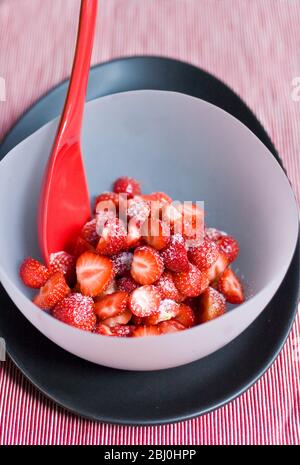 Strawberries, hulled and halved, dusted with caster sugar, served in frosted glass bowl on black plate with bright red melamine spoon. - Stock Photo