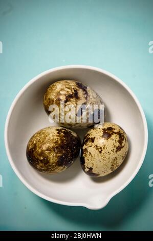 Three whole quail's eggs in small bowl on green blue surface - Stock Photo