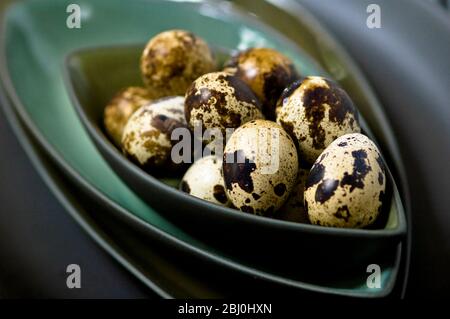 Quail's eggs in their shells in dark green bowls stacked - Stock Photo