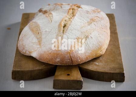Organic rustic white loaf on wooden cutting board - Stock Photo