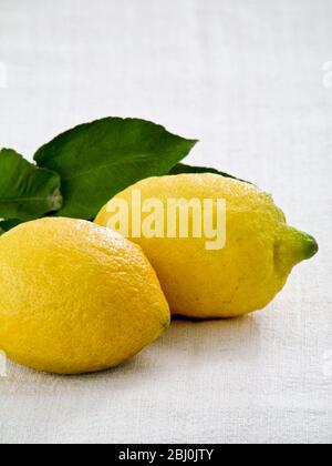 Two whole lemons with leaves on white linen cloth background - Stock Photo