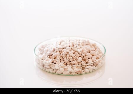 Perlite mineral Stone in petri dish on black background Stock Photo