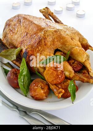 Roast goose with roast apples and bay leaves on white plate, with carving cutlery. - Stock Photo