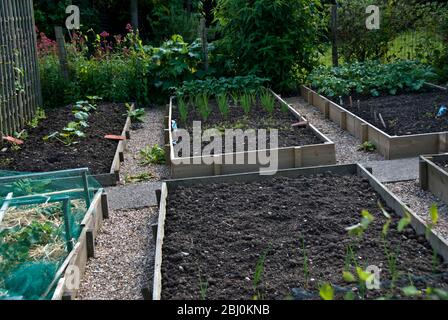 Well organised kitchen garden with multiple raised beds - Stock Photo