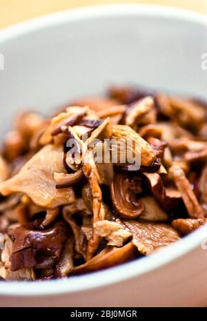 Selection of cooked wild and exotic mushrooms in bowl - Stock Photo