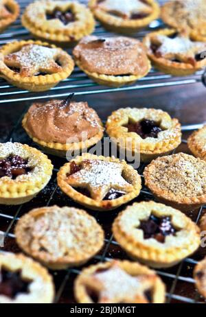 Variations on the classic christmas mince tart with different toppings - Stock Photo
