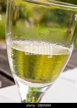 Half empty glass of white wine in summer garden - Stock Photo