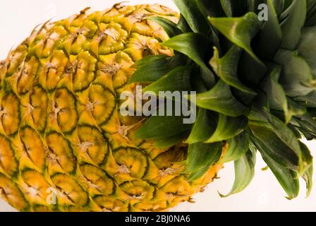 Whole fresh pineapple against white background - Stock Photo