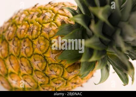 Whole fresh pineapple against white background - Stock Photo