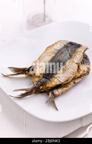 Stack of panfried fresh sardines on white plate - Stock Photo