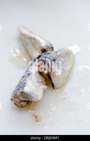 Sardines on white board with lemon wedge. - Stock Photo