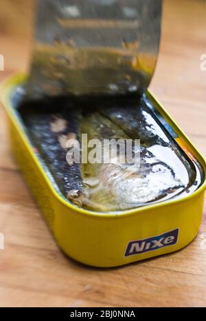 Can of sardines with lid pulled back - Stock Photo