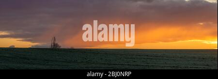Beautiful, dramatic multi-colored clouds lit by the rising sun above the panorama of a green field of young grain Stock Photo