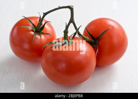 Fresh tomatoes on the vine onwhite surface - Stock Photo