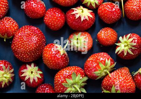 Black plate with red strawberries - Stock Photo