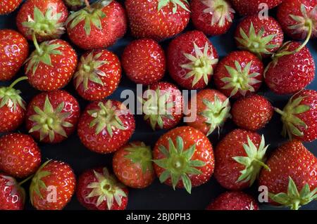 Black plate with red strawberries - Stock Photo