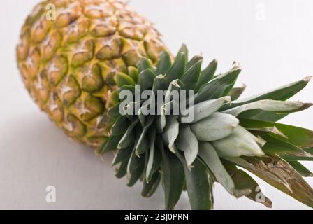 Fresh pineapple on white surface - Stock Photo