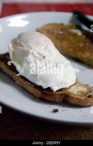 Poached egg on wholemeal toast on white plate - Stock Photo