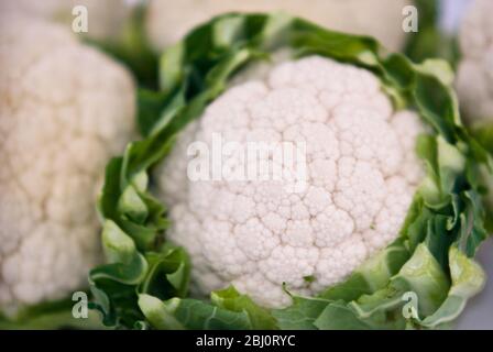 Whole cauliflowers, in close up - Stock Photo