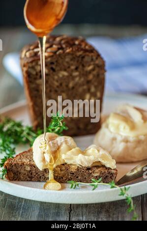 Delicious treat white soft round cheese with mold with honey and craft bread. Selective focus. Stock Photo